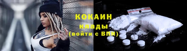 прущая мука Ельня