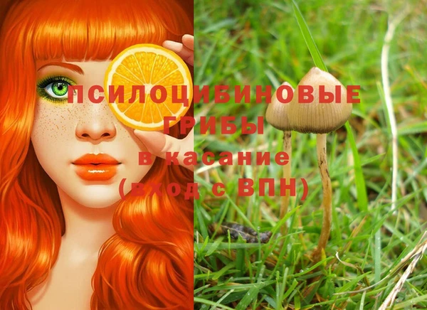 мескалин Заволжск